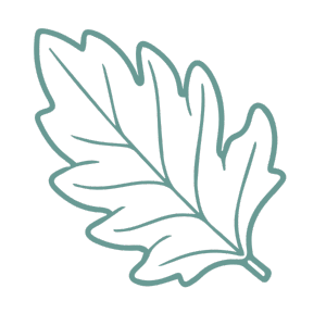 leaf
